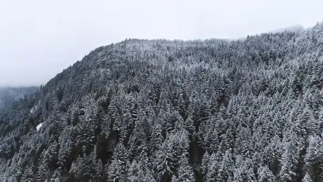Расслабление и успокоение. Relaxation and tranquility. Глубокий сон. Deep dream. смотреть онлайн