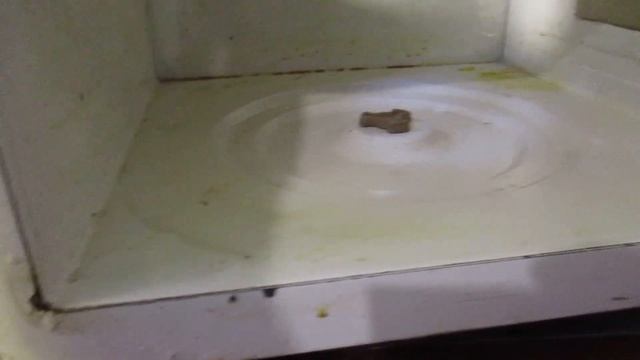 Не покупайте б у микроволновку пока не увидите это видео. Тараканы и трипак. смотреть онлайн