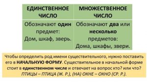 Русский язык 3 класс  Род и число имён существительных