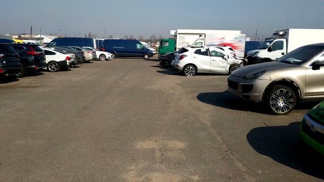 Пригнали в Минск Ford Escape Titanium 2017 1.5l (Всё ок...) смотреть онлайн