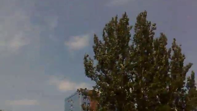 Губернатор и охрана. смотреть онлайн
