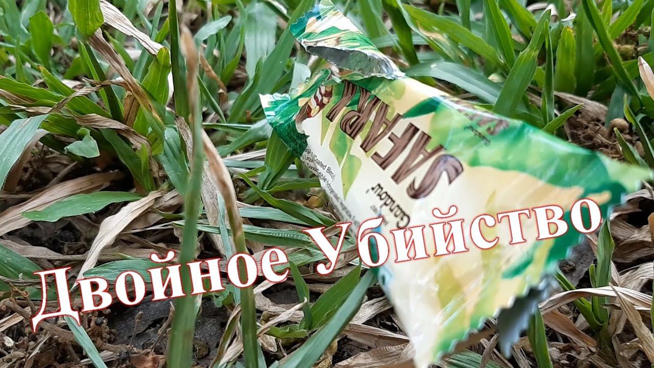 Двойное убийство смотреть онлайн