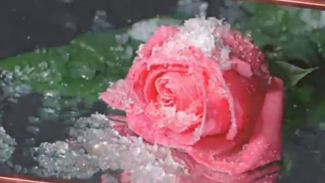 Жизнь это дар и Божья Благодать Красивая музыка для души смотреть онлайн