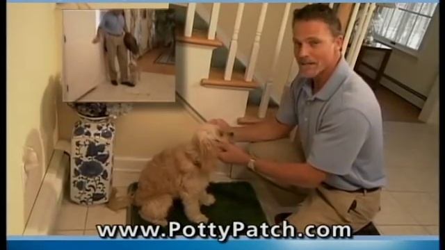 Potty Patch As Seen On TV Commercial | Buy Potty Patch смотреть онлайн