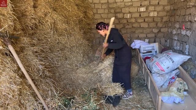 Daily Life of Living under the Mount Everest; How is Everest Village Life Like? (full documentary) смотреть онлайн