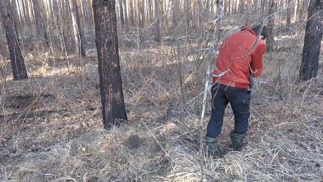 По следам метеорита. День 7. Весенняя оттепель