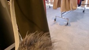 Скандинавские руны. Проживание руны Турисар (Турисаз) в Норвегии.
