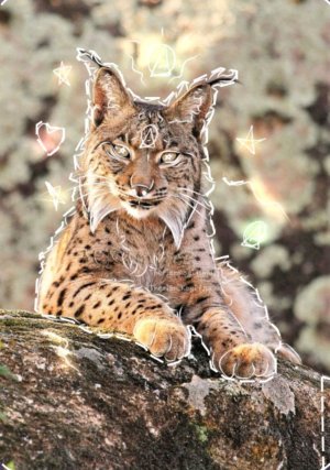 доделываю маску квадробики| общаюсь с вами