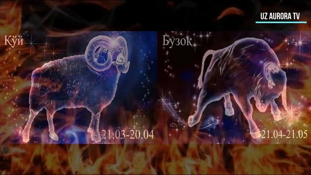 Qaysi Juftlik Bir Biriga Mos (yulduzlar Jangi)