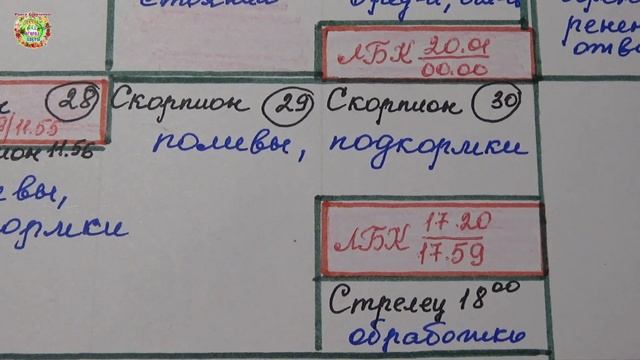 Агрогороскоп садовода на июнь 2023 года. Агрогороскоп садівника на червень 2023 року смотреть онлайн