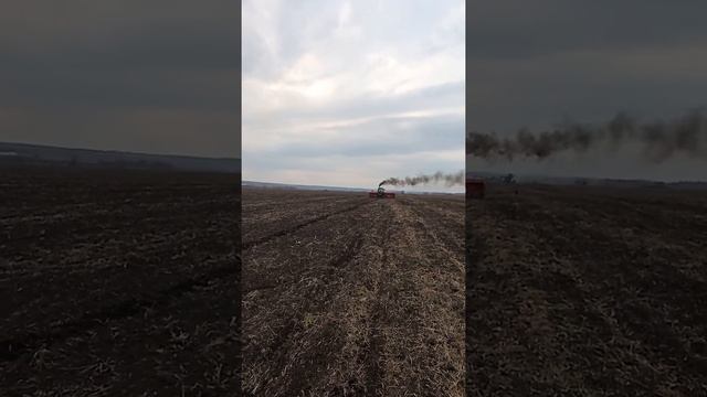 ТЯЖЕЛАЯ ПОСЕВНАЯ 2020 смотреть онлайн