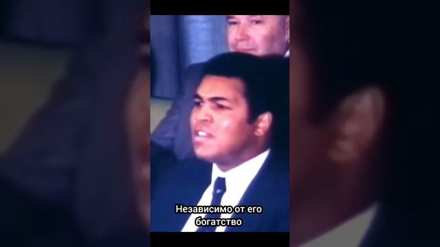 Золотые слова Мухаммада Али #мухаммадали#бокс#цитаты#легенда#золотыеслова#сша смотреть онлайн