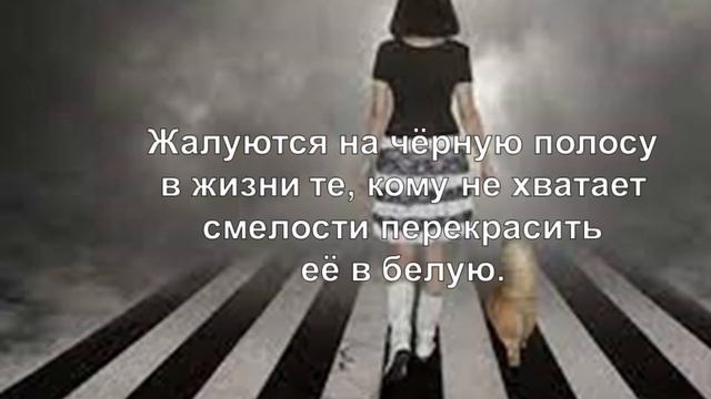 Популярные Цитаты Молодого Писателя Эльчина Сафарли смотреть онлайн