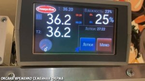 Инкубация СТРАУСИНОГО ЯЙЦА / ЭМУ / ПОШАГОВО / Часть 1