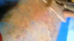 Как почистить гидрокомпенсаторы ланос