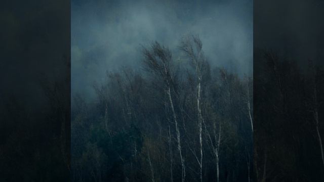 Fallen Down - Slowed + Reverb + Wind + Liminality смотреть онлайн