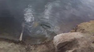 Забавная воронка в реке