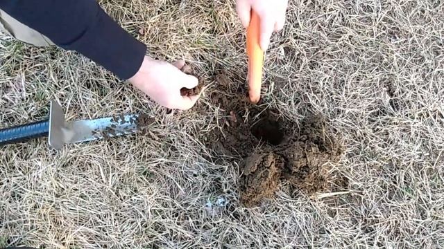 Equinox 700/Searching For A Ring