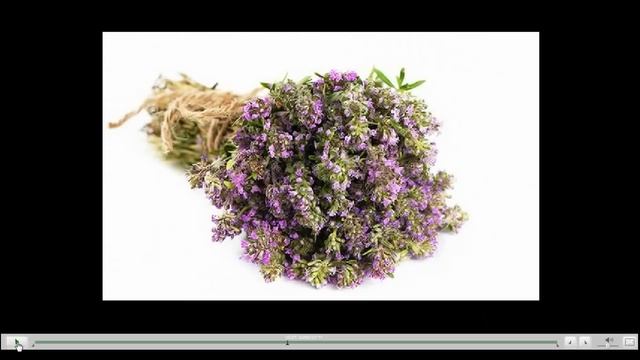 Чабрец лечебные свойства смотреть онлайн