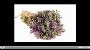 Чабрец лечебные свойства