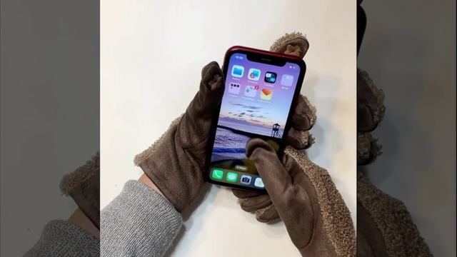 JDF3-10 FABRETTI Перчатки жен. 100%полиэстер,90%полиэстр/10%эластан