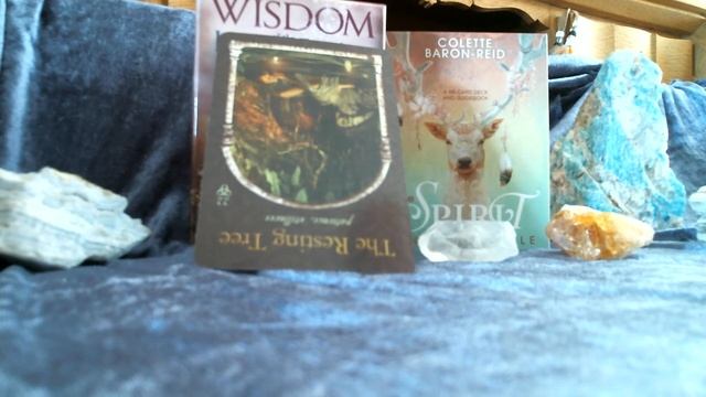 Spirit Message Daily Guidance ♥ Oracle Cards - Remember to Rest смотреть онлайн