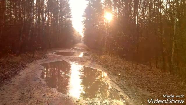 Лесные дороги смотреть онлайн