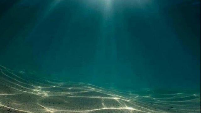 9 сеанс онкология