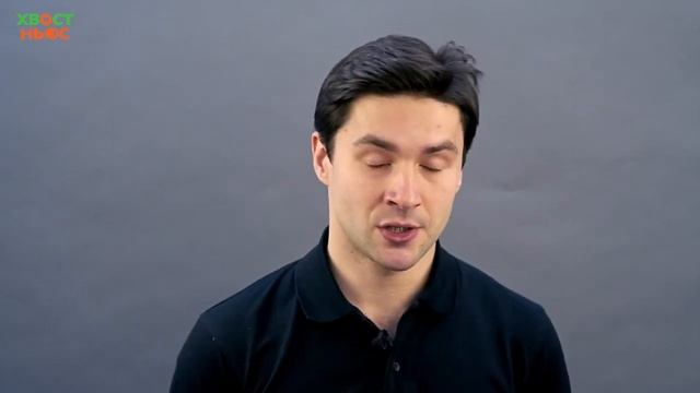 Как выбрать лежанку для питомца ✨? смотреть онлайн