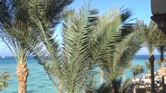 Отель king tut aqua park beach resort. Египет. Хургада. смотреть онлайн