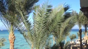 Отель king tut aqua park beach resort. Египет. Хургада.