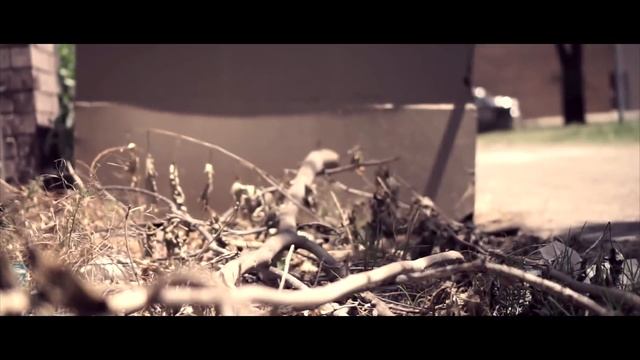 Young Bro ft Bryann Trejo & Natoree (Official Video) "Ascend into the Hills" смотреть онлайн