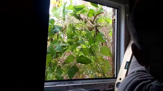 как я ставил окна ПВХ смотреть онлайн