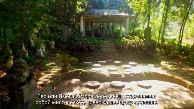 Лес Аокигахара - жуткая достопримечательность Японии смотреть онлайн