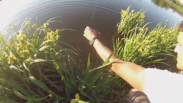 КАРП ХРЕНАЧИТ!!!Вот это рыбалка!!! смотреть онлайн