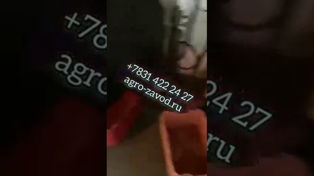 Линия очистки Свиные ноги, копыпа смотреть онлайн