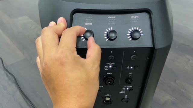 Bose L1 Pro8 REVIEW & SOUND TEST DEMO - Best Speaker смотреть онлайн