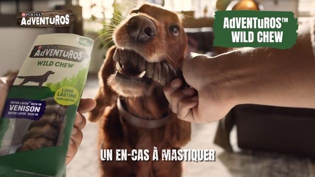 Purina Adventuros, découvrez les nouvelles friandises pour chien! смотреть онлайн