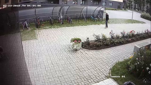#велоугон 2 23.07 смотреть онлайн