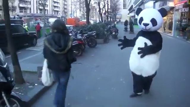 Бесконтактный бой панды. Кунг фу панда. / Non-contact fighting panda. Kung Fu Panda. смотреть онлайн