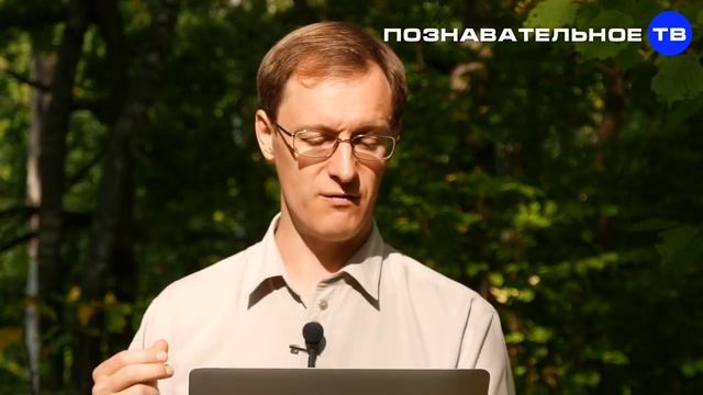 Почему разные слова СОБАКА, ПЁС, ЩЕНОК обозначают одно животное смотреть онлайн