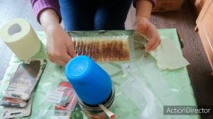 Проращиваю семена перца на туалетной бумаге! 12.02.2020