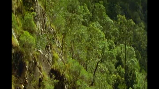 Lmp.1x15 Patlefourbe