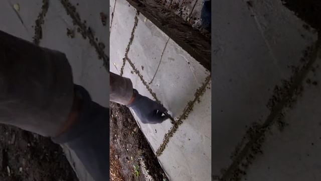 Садовая дорожка под камень своими руками. смотреть онлайн