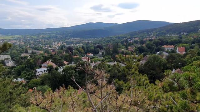 2019.07.Панорама.Венский лес смотреть онлайн