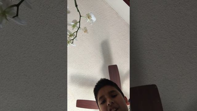 Roblox series 5 core pack смотреть онлайн