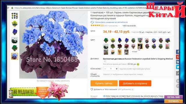 2018 Весна огород-КОМНАТНАЯ ГЕРАНЬ С ALIEXPRESS ОТ КОТОРЫХ ТЫ ОФИГЕЕШЬ/ЛУЧШИЕ ТОВАРЫ С КИТАЯ смотреть онлайн