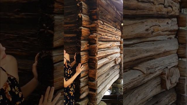 E. Grieg - En drøm - Olga Pyatnitskikh смотреть онлайн