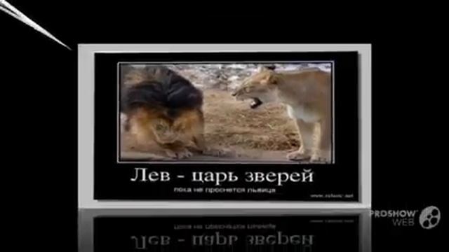 Приколы. Смешные фотоприколы.Смех. Анекдоты. Выпуск 2 смотреть онлайн