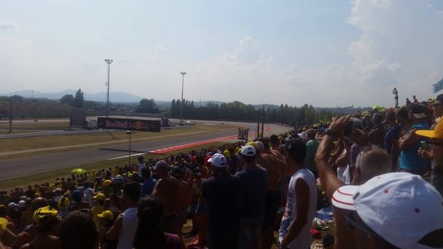 Motogp misano adriatico смотреть онлайн